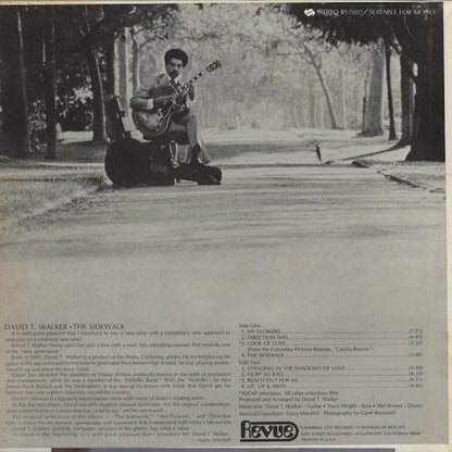 David T. Walker - The Sidewalk (RS 7207) 1968 US Revue｜中古LP