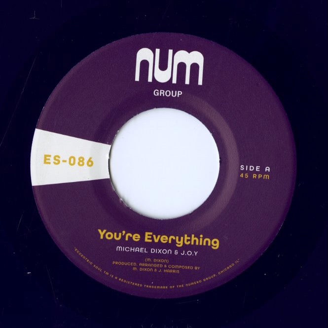 Michael Dixon & J.O.Y. / マイケル・ディクソン / You're Everything - 7 (ES086)