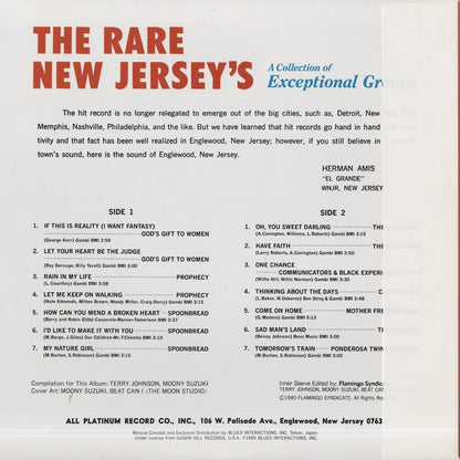 V.A./ The Rare New Jersey's - A Collection of Exceptional Group (PLP6532)