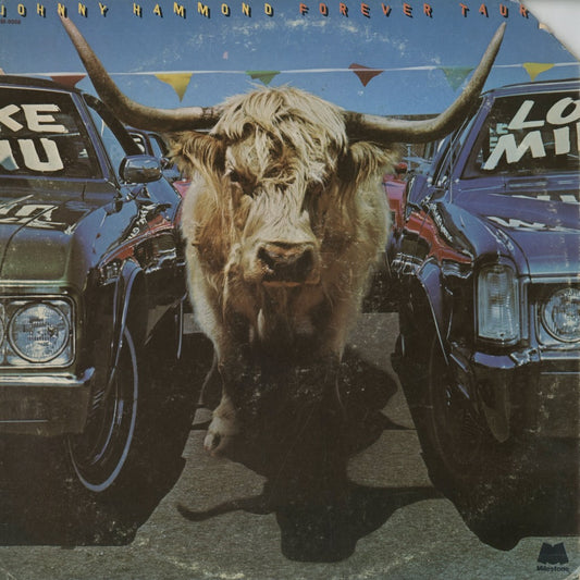 Johnny Hammond / ジョニー・ハモンド / Forever Taurus (M-9068)