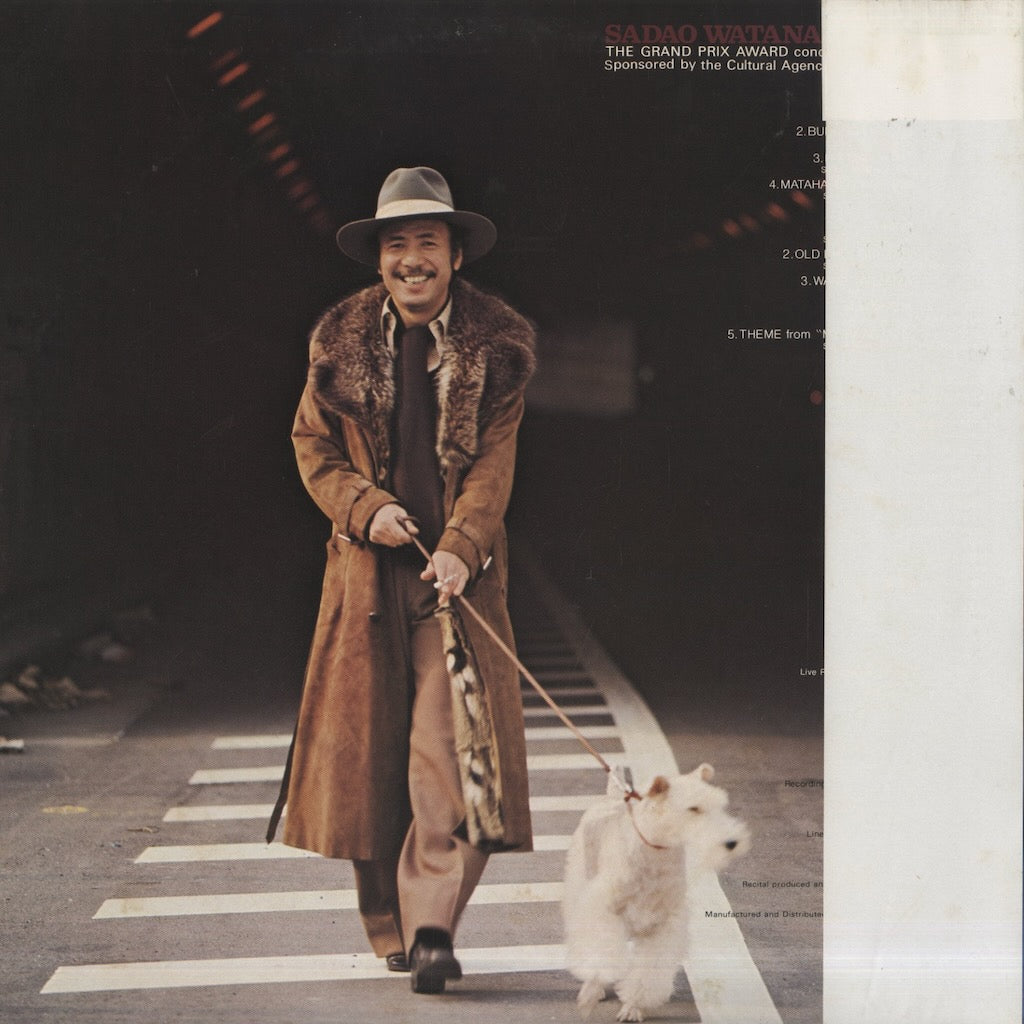 渡辺 IJ ZXR250 ZX250A カウル フェンダー フロント リア インナー