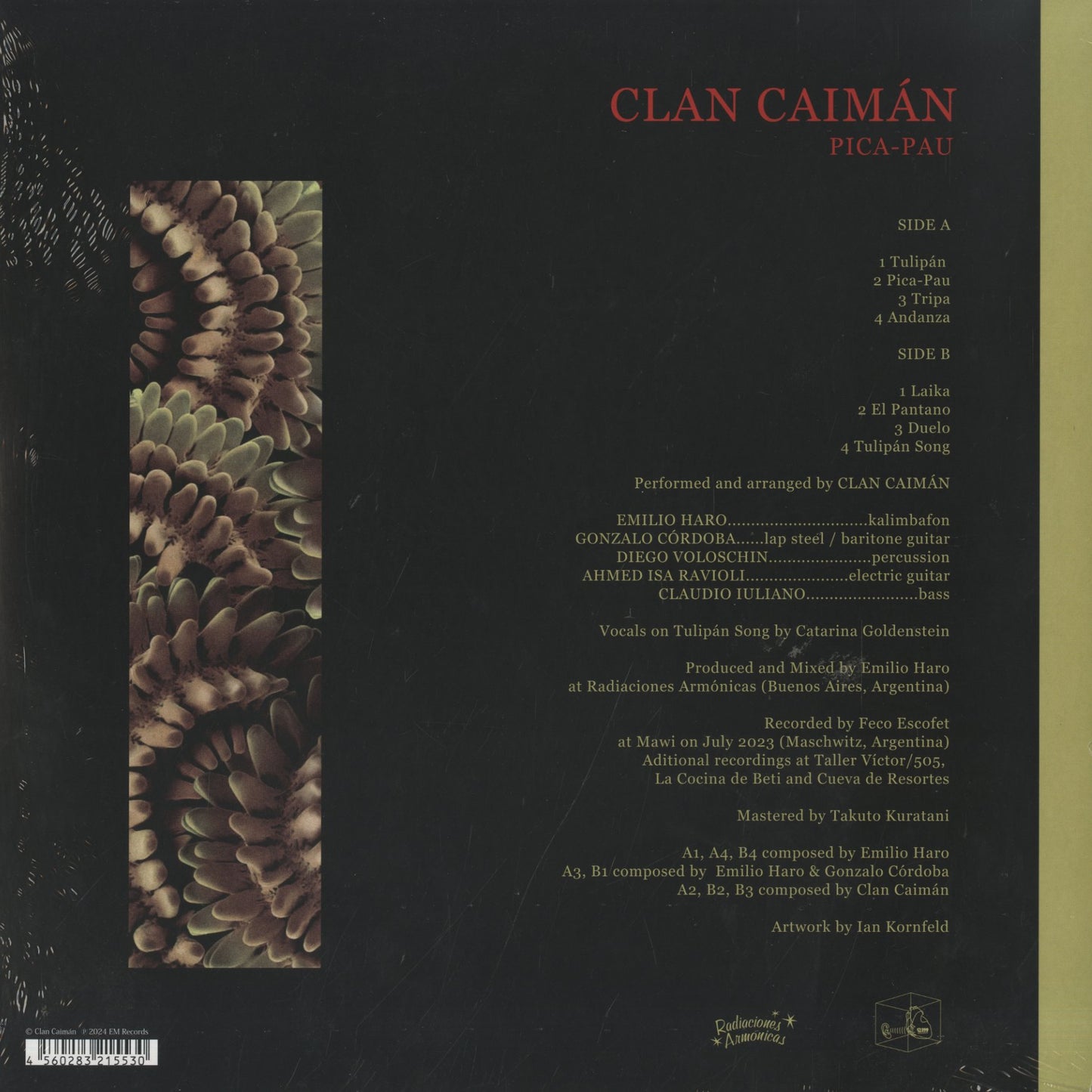 Clan Caiman / クラン・カイマン / Pica-Pau (EM1213LP)