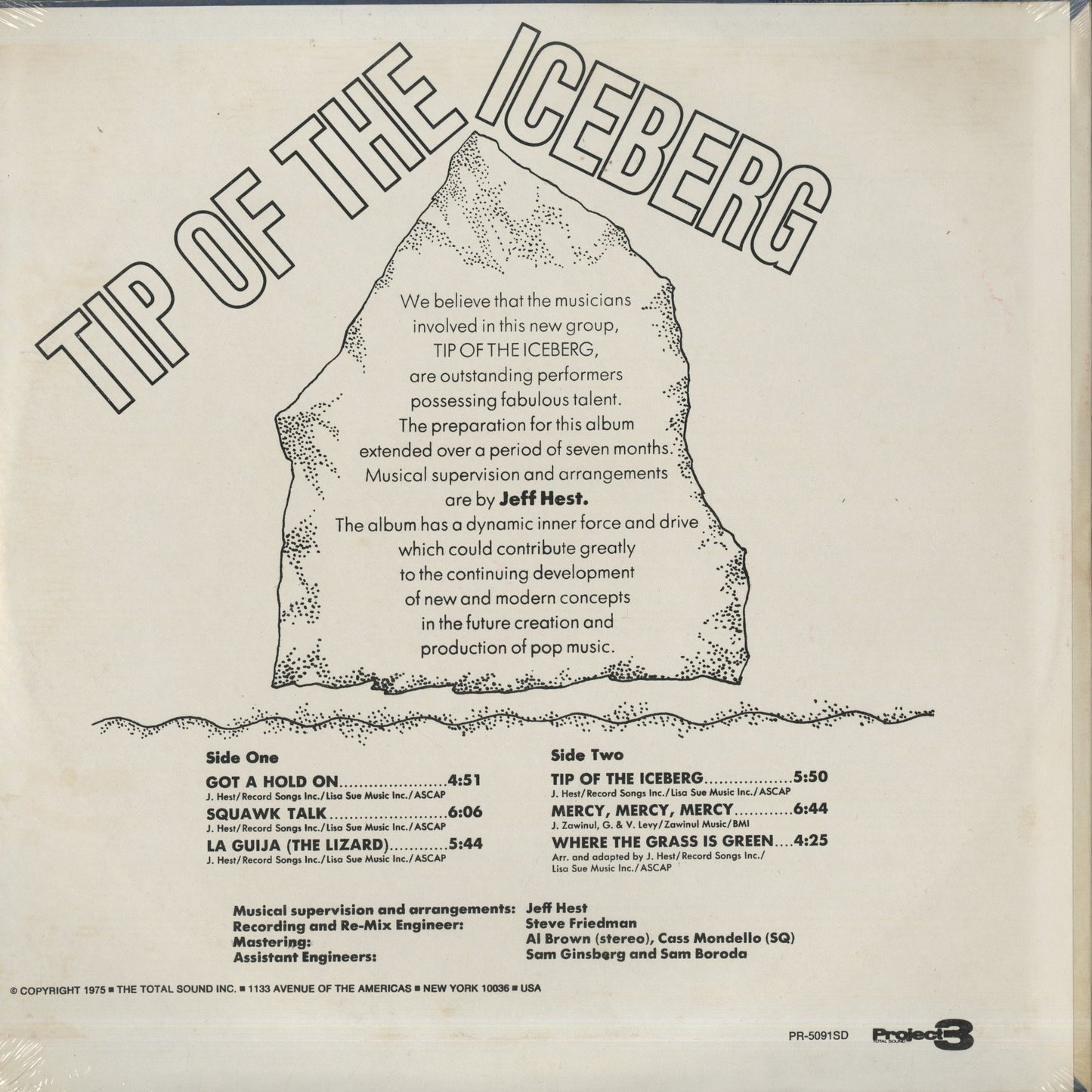 Tip Of The Iceberg / ティップス・オブ・ザ・アイスバーグ (PR 5091SD)