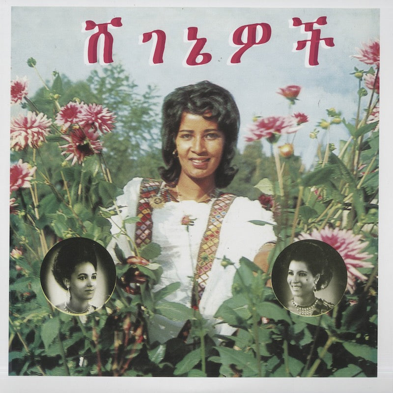 JAZZ - 新品 – VOXMUSIC WEBSHOP