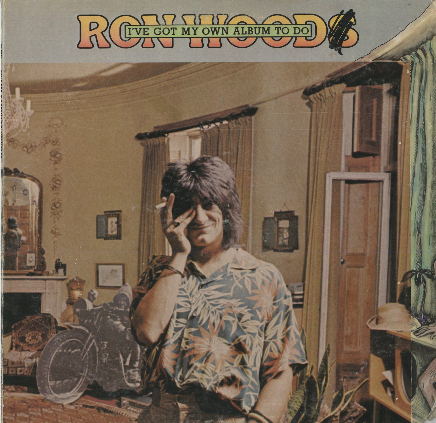 Ron Wood / ロン・ウッド / I've Got My Own Album to Do (BS 2819)