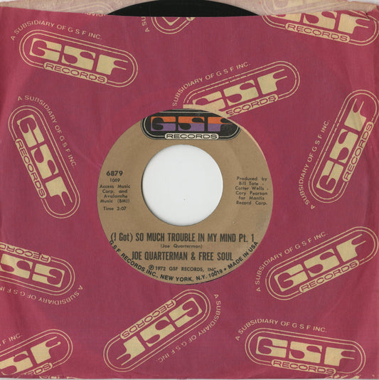 Joe Quarterman and Free Soul / ジョー・クォーターマン＆フリー・ソウル / (I Got) So Much Trouble In My Mind (part1&2) -7 (6879)