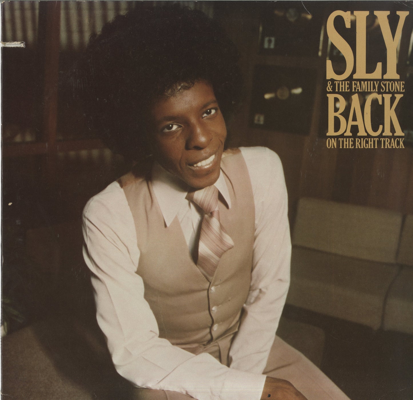 Sly & The Family Stone / スライ＆ザ・ファミリー・ストーン / Back On The Right Track (BSK 3303)