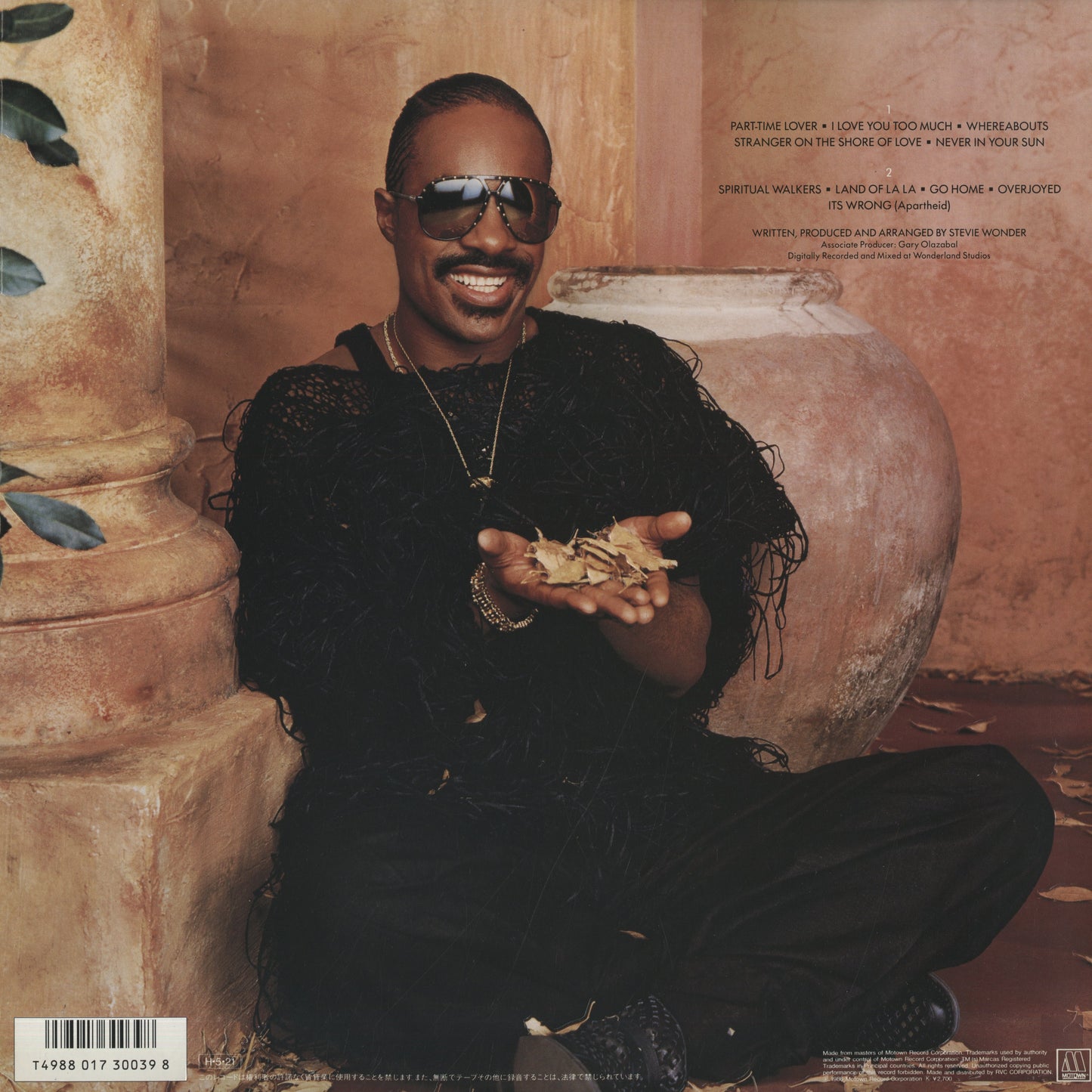 Stevie Wonder / スティーヴィ・ワンダー / In Square Circle (RMTL-8001)