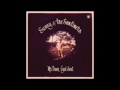 Sunny & The Sunliners  / サニー＆サンライナーズ / Mr. Brown Eyed Soul (BC035-LP)