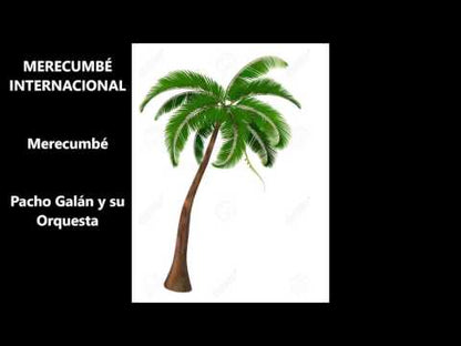 Pacho Galan / Cumbia Lila / Merecumbe Internacional -7 ( 2040 )