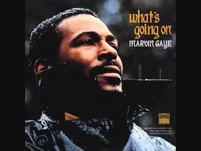 Marvin Gaye / マーヴィン・ゲイ / What's Going On (T310)