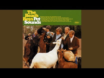The Beach Boys / ビーチ・ボーイズ / Pet Sounds  (180g)