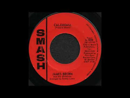 James Brown / ジェイムス・ブラウン / Caldonia / Evil -7 ( S-1898 )