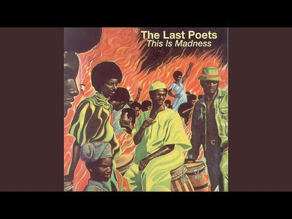 The Last Poets / ラスト・ポエッツ / This Is Madness (Z30583)