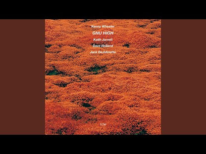 Kenny Wheeler / ケニー・ホイーラー / Gnu High (PAP-9040)