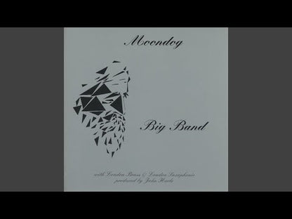Moondog / ムーンドッグ / Playing Moondog Music -10 (HJP017)