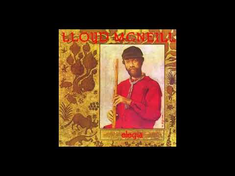 Lloyd McNeill / ロイド・マクニール / Elegia (SJRLP429) – VOXMUSIC