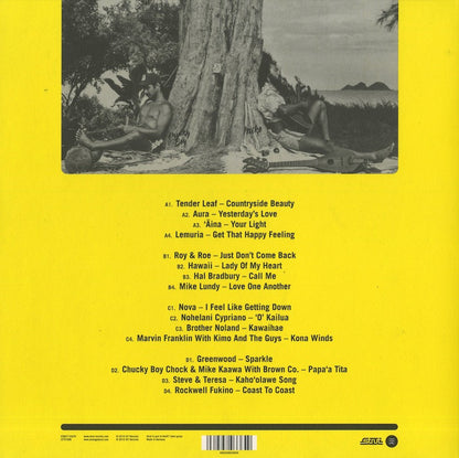 V.A./ Aloha Got Soul / アロハ・ガット・ソウル / Soul, AOR and Disco in Hawaii 1979-1985 -2LP (Yellow Vinyl) (STRUT133LP)