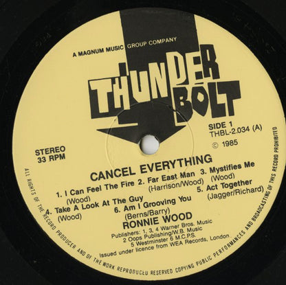 Ronnie Wood / ロニー・ウッド / Cancel Everything (THBL-2.034)